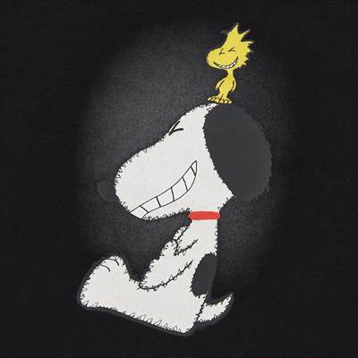 ユニクロの2022年新作スヌーピーコラボUT・UTGP2022 × ピーナッツ UT グラフィックTシャツ(半袖・レギュラーフィット)